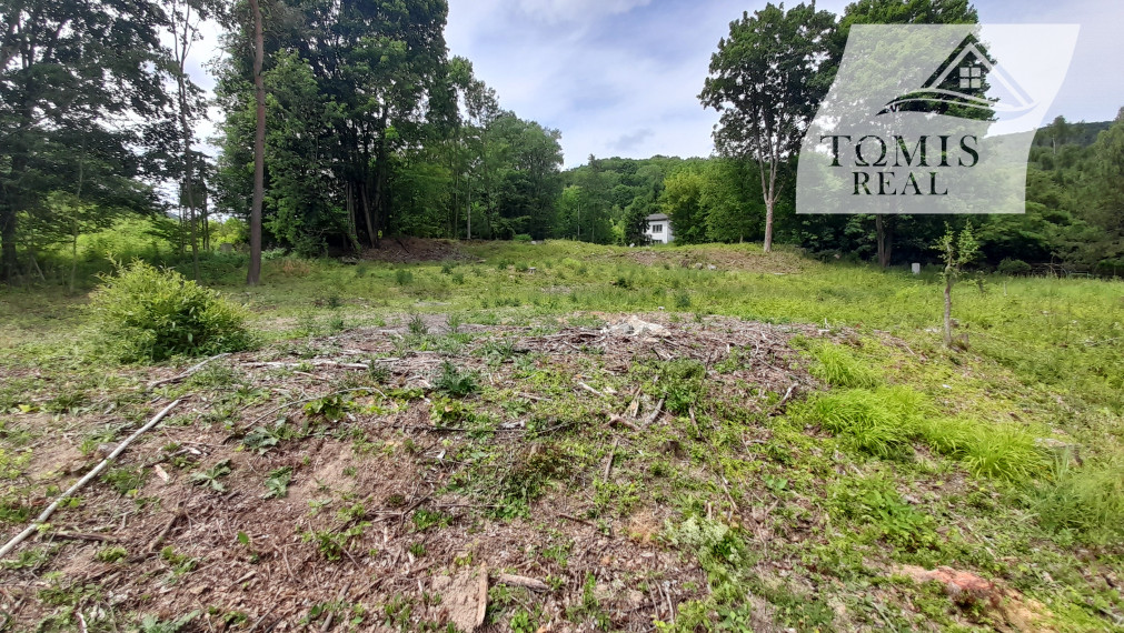 Na predaj pozemok v lone prírody - Ružín