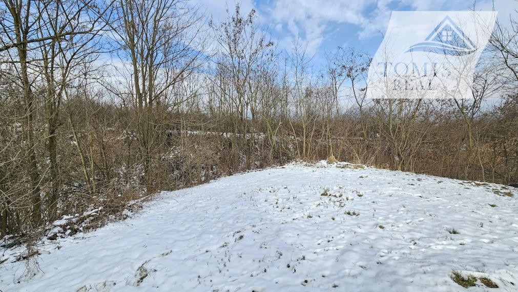 Rodinný dom v obci BUZICA s letnou kuchyňou