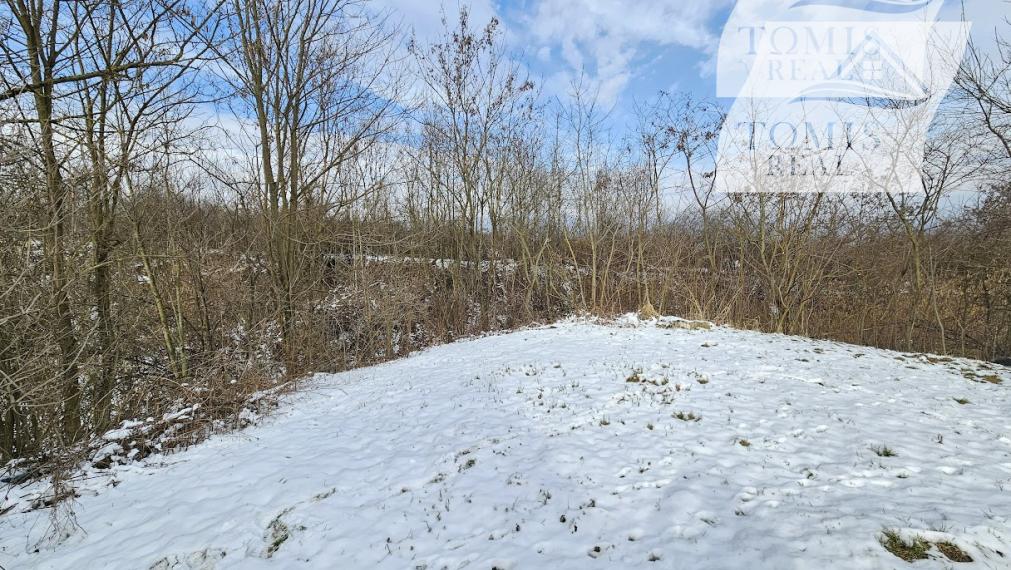 Rodinný dom v obci BUZICA s letnou kuchyňou