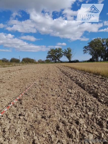 Starší vidiecky dom s veľkorysým pozemkom, tichá lokalita Mokrance