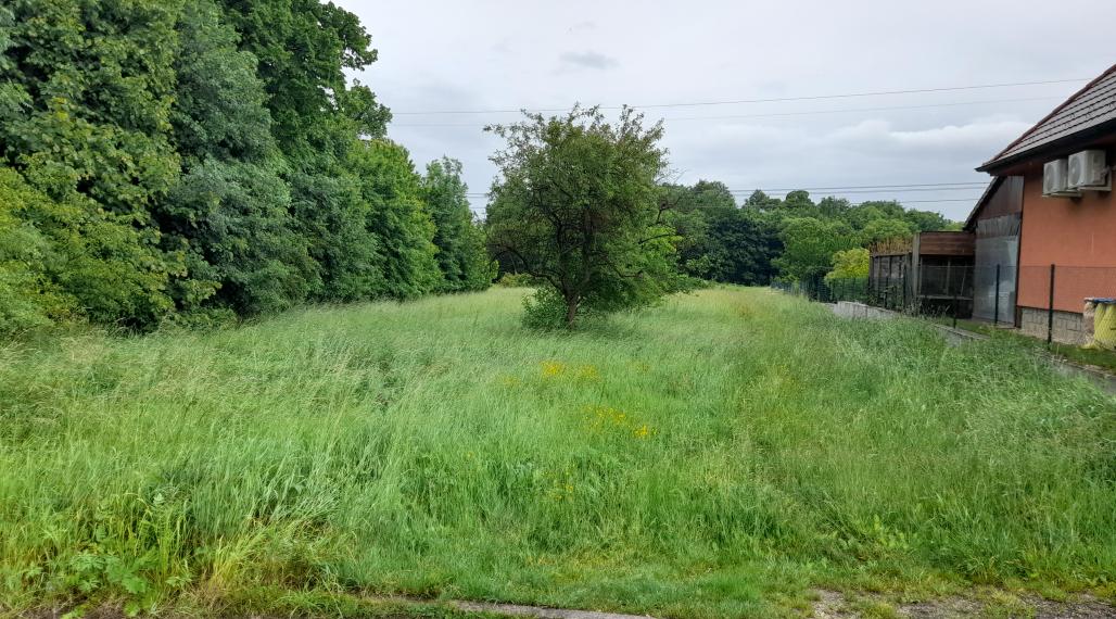 Stavebný pozemok - Nižná Kamenica