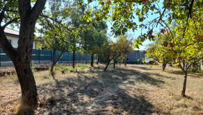 Ponúkame na predaj stavebný pozemok 650 m2, obec Ďurkov - fotografia 5