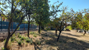 Ponúkame na predaj stavebný pozemok 650 m2, obec Ďurkov - fotografia 9