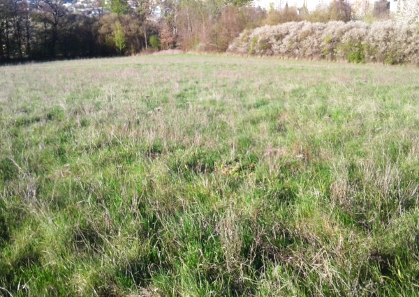 Investičný pozemok KANAŠ, len 9 km od Prešova