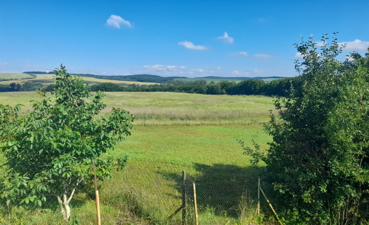 Investičný pozemok 4483 m2 na výstavbu RD v obci Ruskov. - fotografia 3