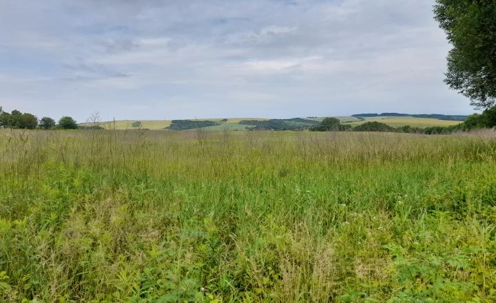 Investičný pozemok 4483 m2 na výstavbu RD v obci Ruskov. - fotografia 4