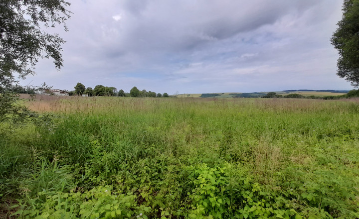 Investičný pozemok 4483 m2 na výstavbu RD v obci Ruskov. - fotografia 5
