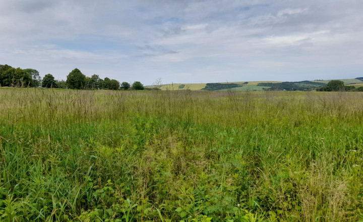 Investičný pozemok 4483 m2 na výstavbu RD v obci Ruskov. - fotografia 6