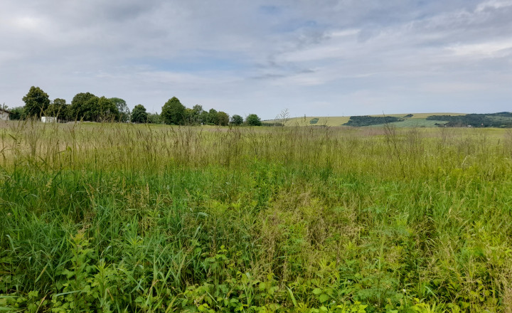 Investičný pozemok 4483 m2 na výstavbu RD v obci Ruskov. - fotografia 7