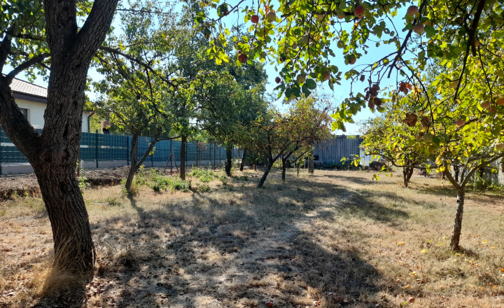 Ponúkame na predaj stavebný pozemok 650 m2, obec Ďurkov - fotografia 4